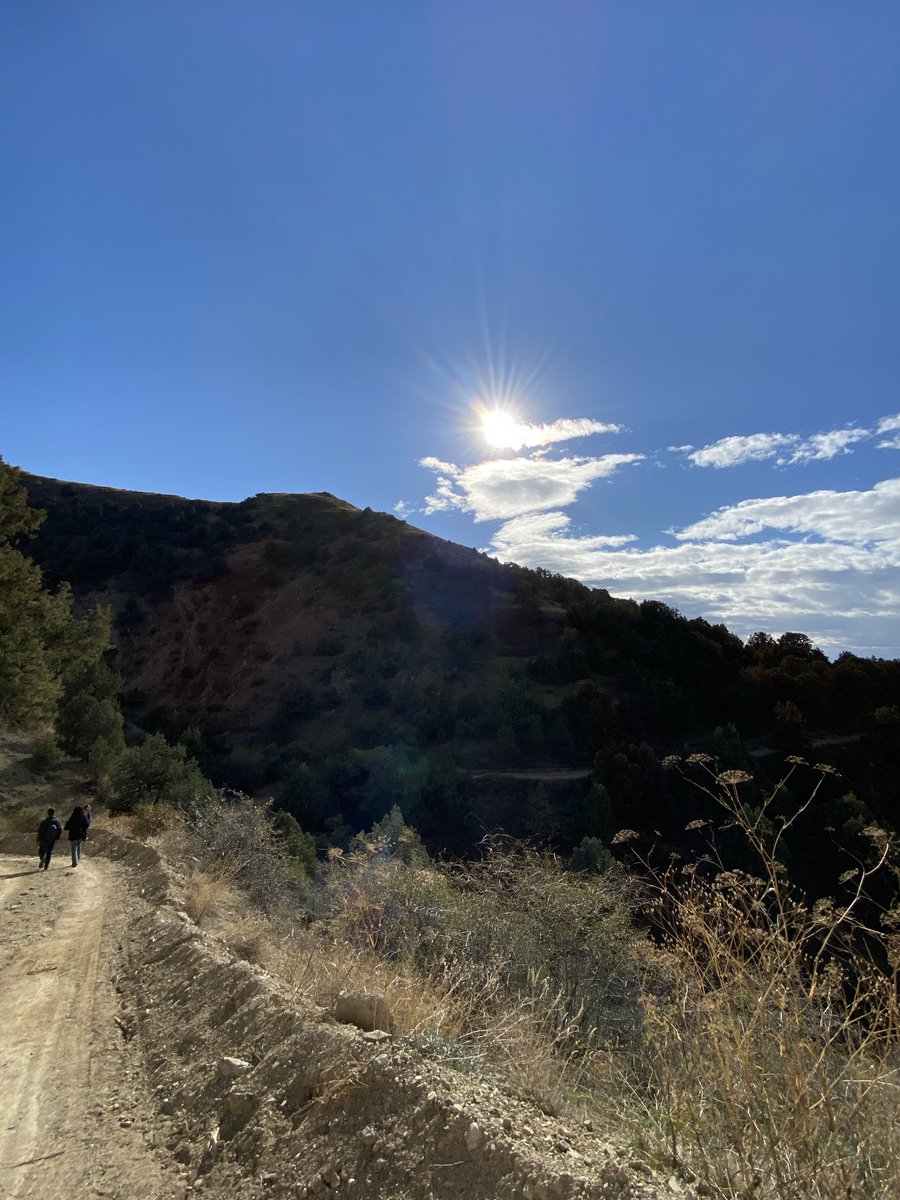MaryBarev's tweet photo. In every walk with nature one receives far more than he seeks. https://t.co/gQWAol8FUj