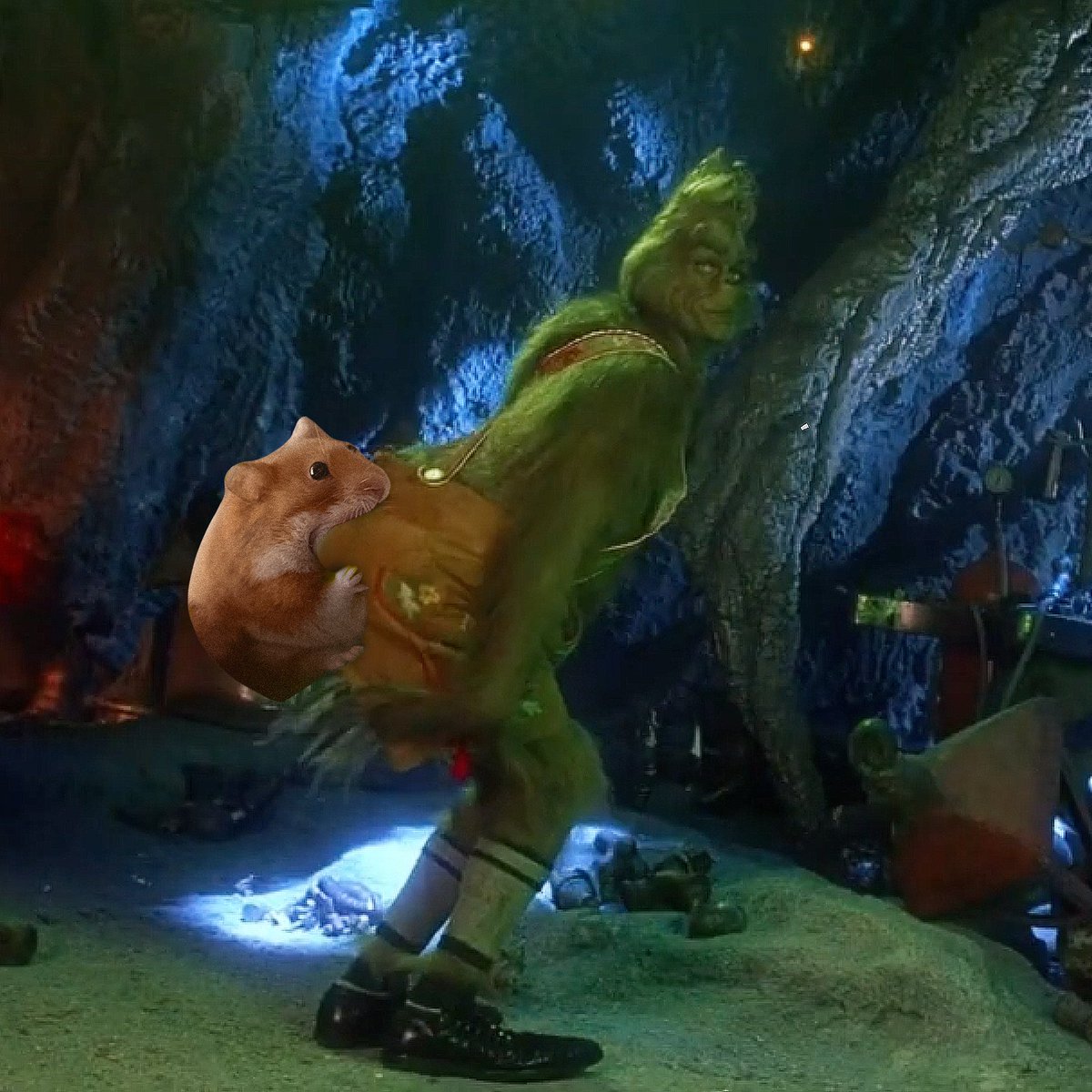 Don't be a Grinch.. feed Nomnom! 🐹
$nomnom