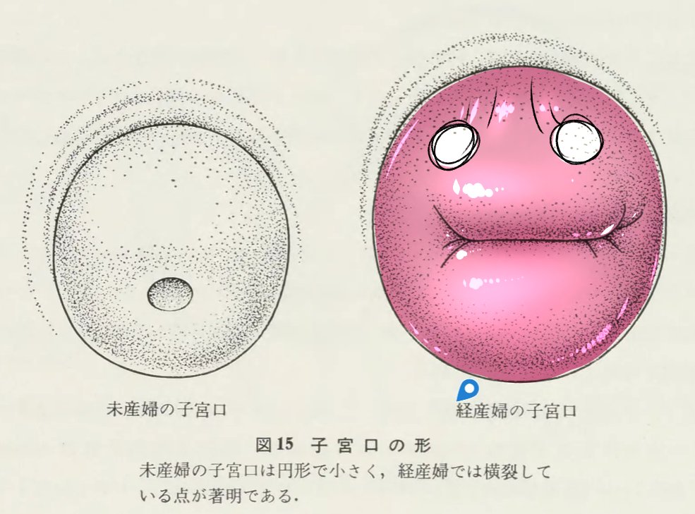 <a href="/AFOSTAR02/">あほすたさん🍓漫画家🌸</a> なによ！アンタだってオリジナルのオナホで子宮口にされてたじゃないのよ！