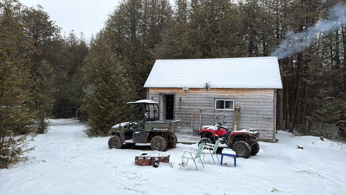 Carlo Paolozza tweet media