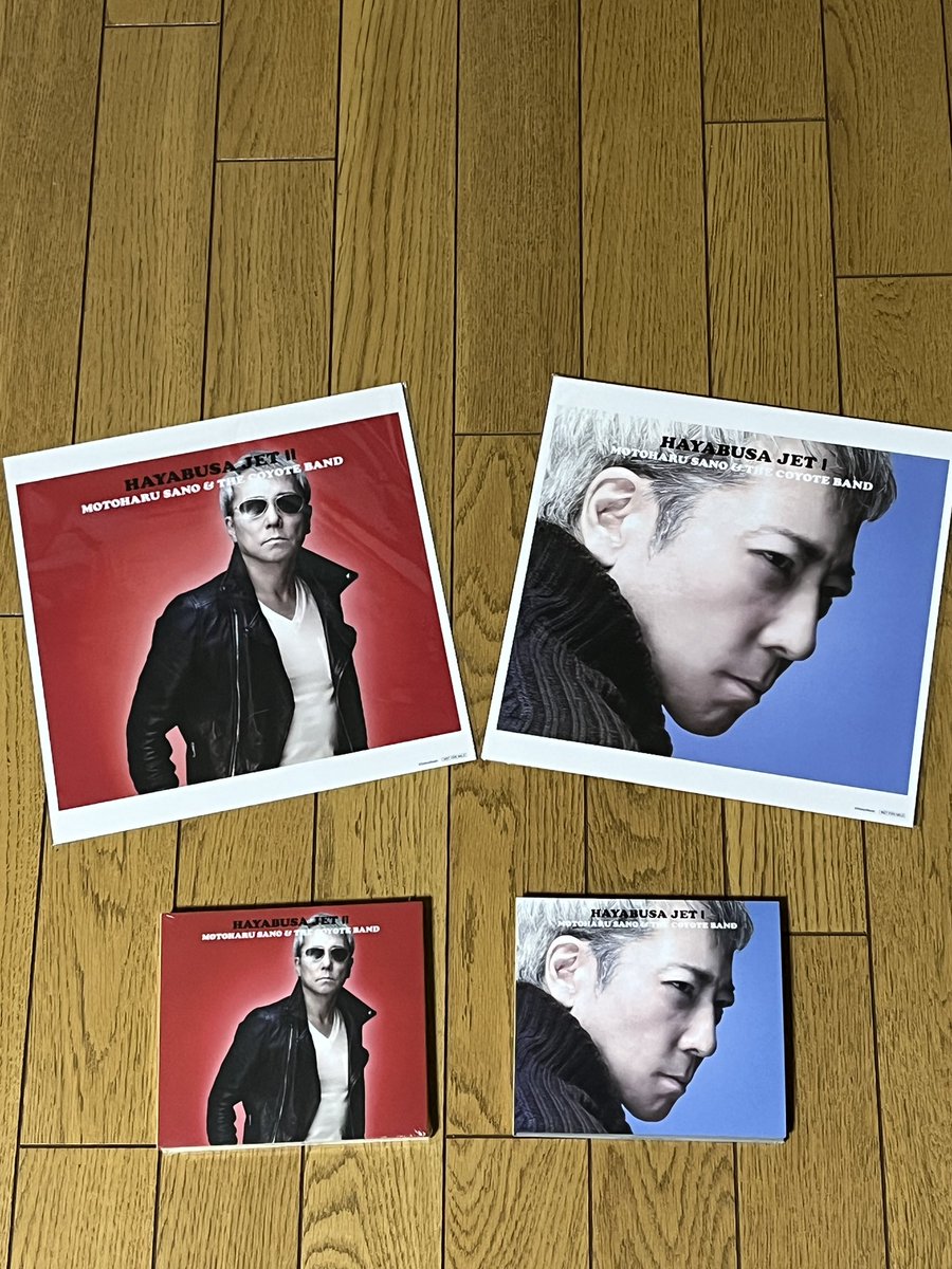 帰宅したら届いてた。 ⅠとⅡ、青盤と赤盤。 並べてみると実に爽快