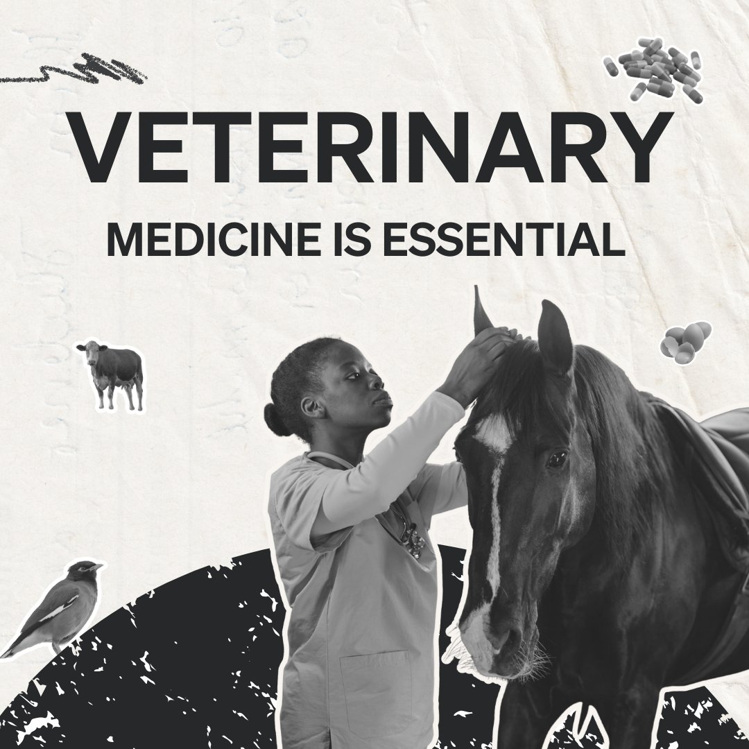Today is the International Day of Veterinary Medicine. This day always brings me back to where our profession began.
 
Centuries ago, long before we had laboratories, surveillance systems or even a shared scientific language, veterinary medicine emerged from a simple truth: the