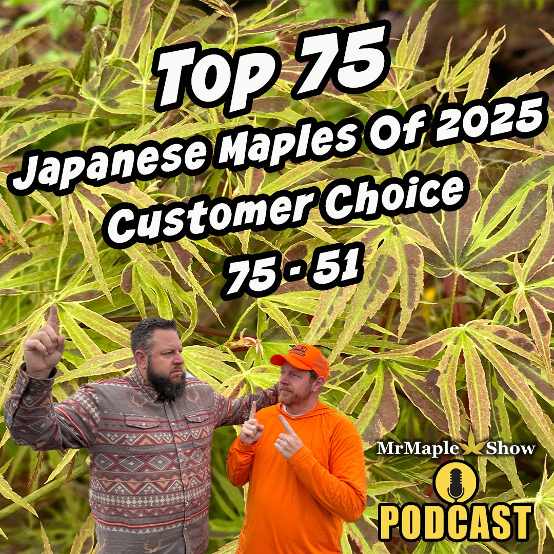 Coming up next on the MrMaple Show Podcast
🍁🔥🔥🔥🔥