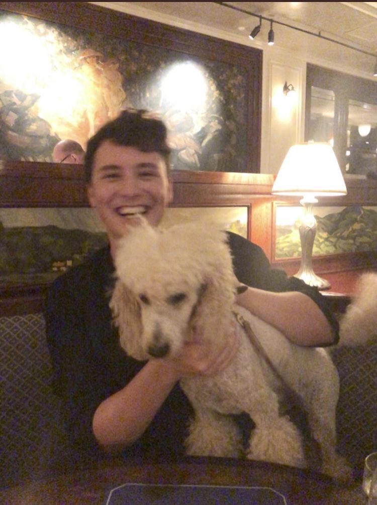 greek yogurt tweet media