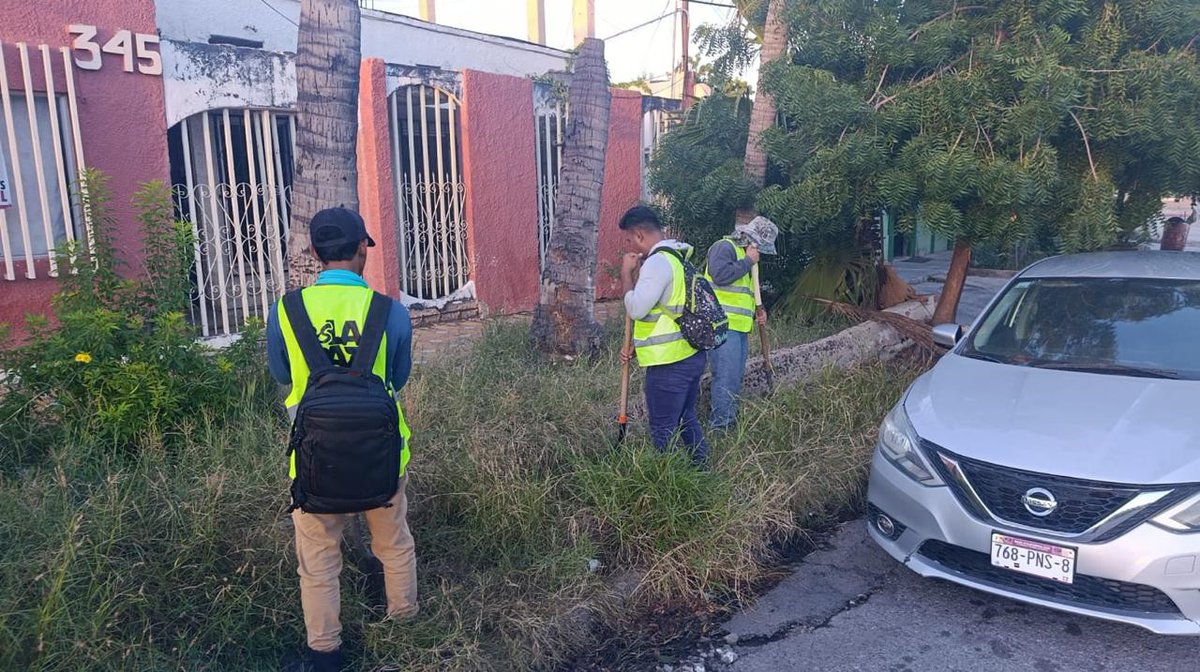quirogamilena_'s tweet image. Hoy el equipo de empleo temporal trabaja en el centro de la ciudad con labores de deshierbe y recolección; les pedimos tomar precauciones al circular por la zona. #EsLaPaz