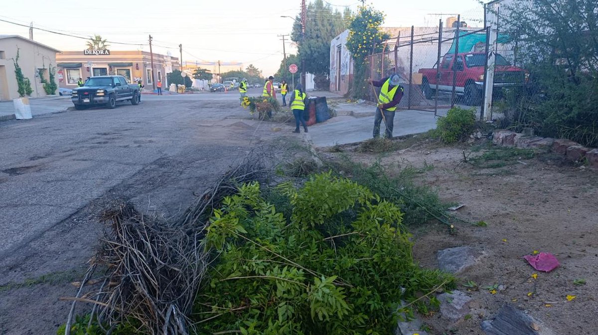 quirogamilena_'s tweet image. Hoy el equipo de empleo temporal trabaja en el centro de la ciudad con labores de deshierbe y recolección; les pedimos tomar precauciones al circular por la zona. #EsLaPaz