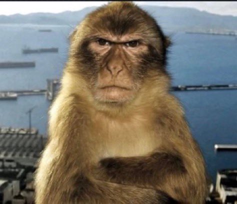 Çok severek giydiğim mont ve atkım için gören herkes seksenler nevzat diyo