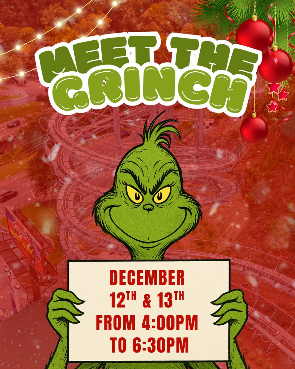 Pigeon Forge Racing Coaster tweet media