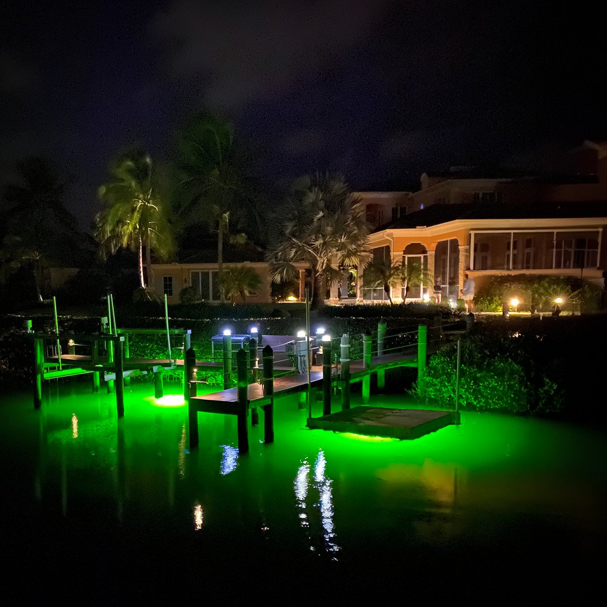The holiday rush has subsided, and tranquility is slowing returning as we approach the final days of 2025.  We want to thank each one of YOU for making this an incredibly successful year and letting us light up your nights for over twenty years!