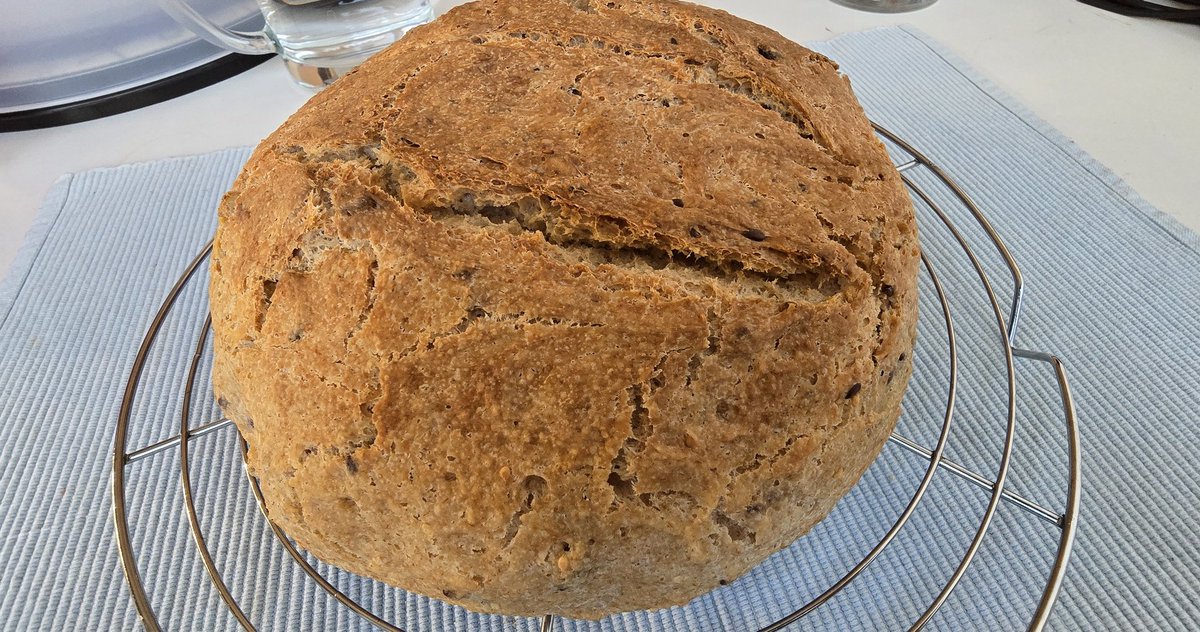 Edini snek, ki ga priznavam, edini snek, ki ga odobravam!
🎶 naj pada zdaj snek 🎵

Pa tam neka razpočnica. S semeni.