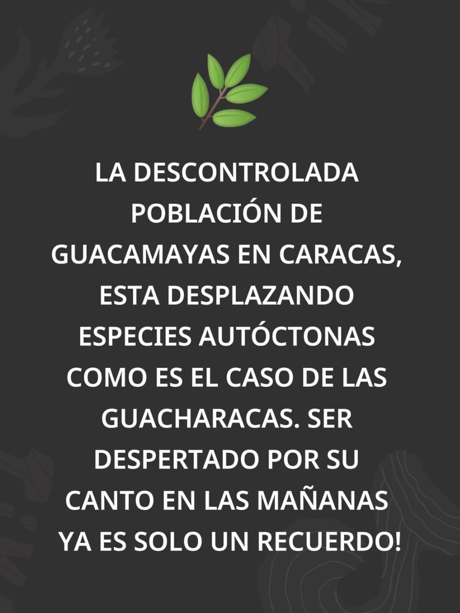 Javier Godoy tweet media