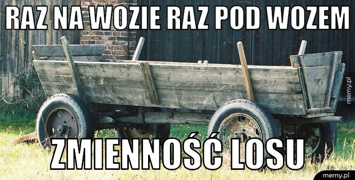 El Profesor tweet media