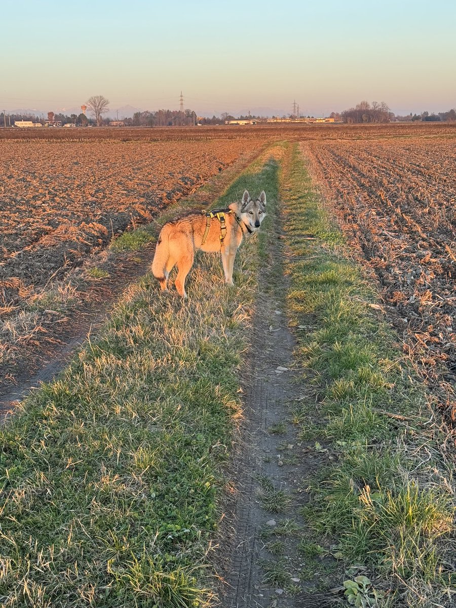 🆃🅰🅿🅿🅸 🅳🅴🅸 🆃🅾🆂 tweet media