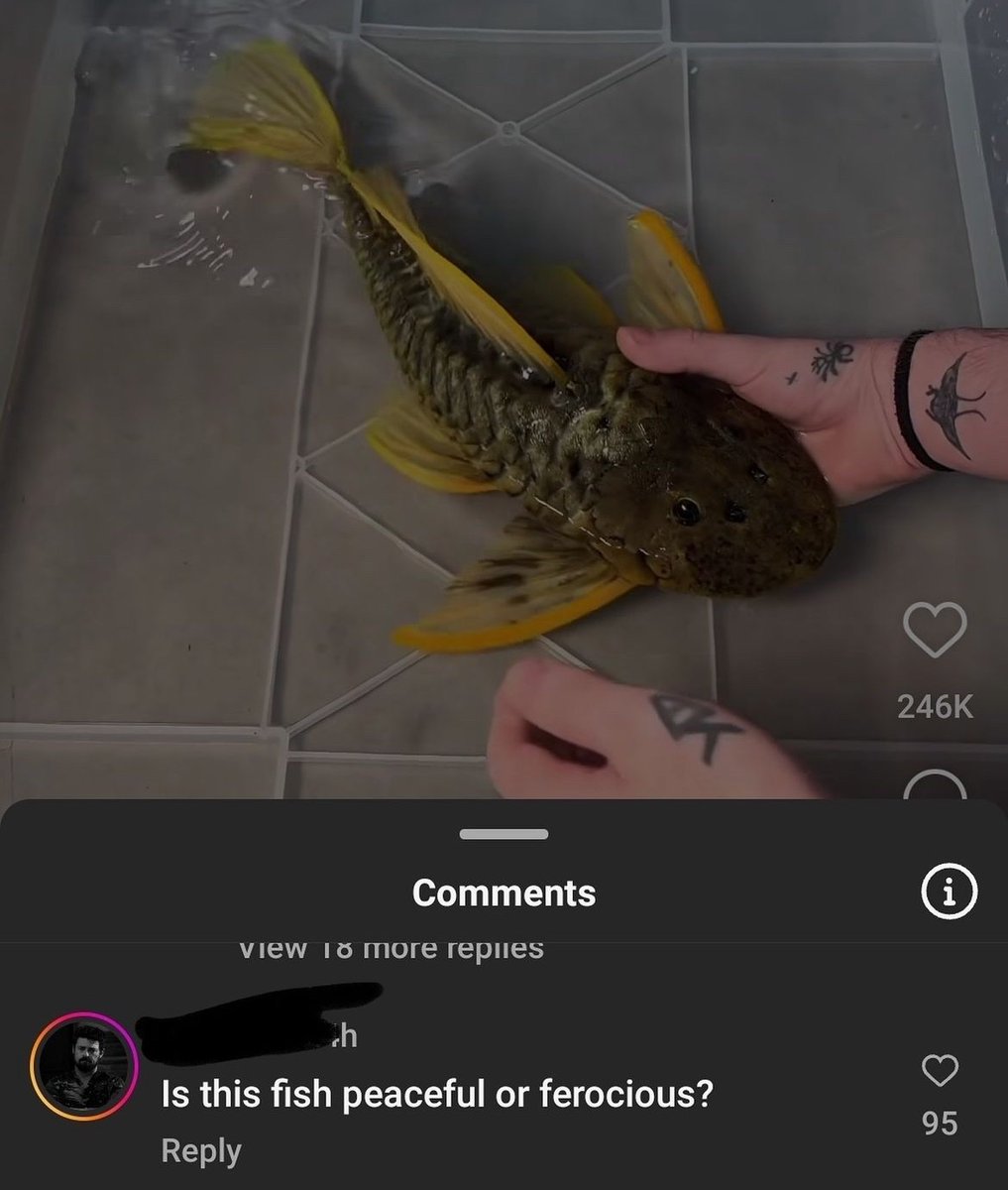 slayvideos's tweet image. 