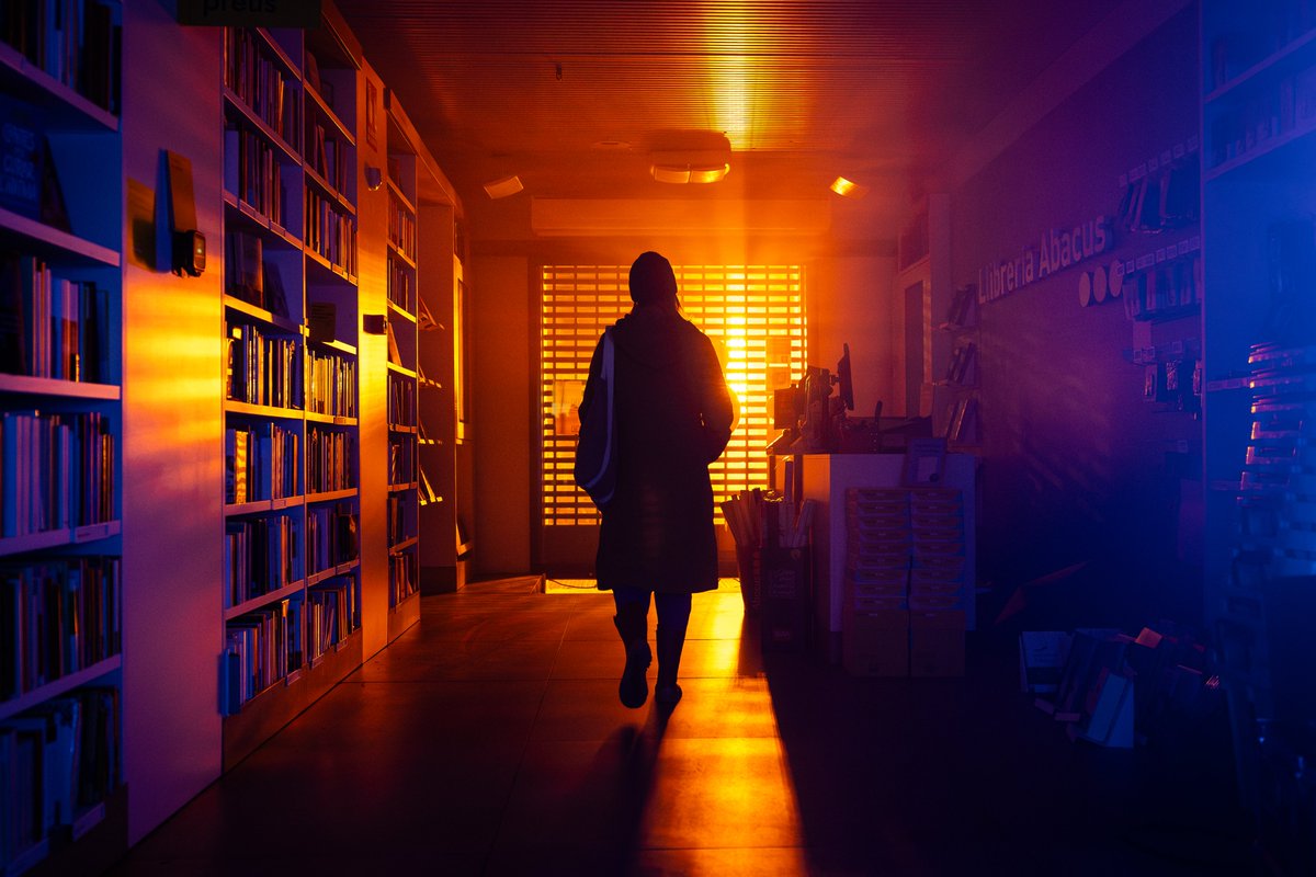 Catedral tweet media