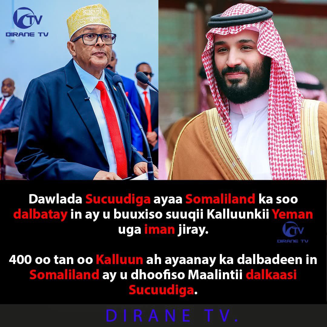 mari_ah's tweet image. Saudi Arabia has requested #Somaliland to begin exporting marine fish from its waters.

Due to the ongoing conflict in Yemen, the fish that Saudi Arabia used to import from Yemen is no longer available. As a result, Saudi Arabia  which has long imported live livestock from…