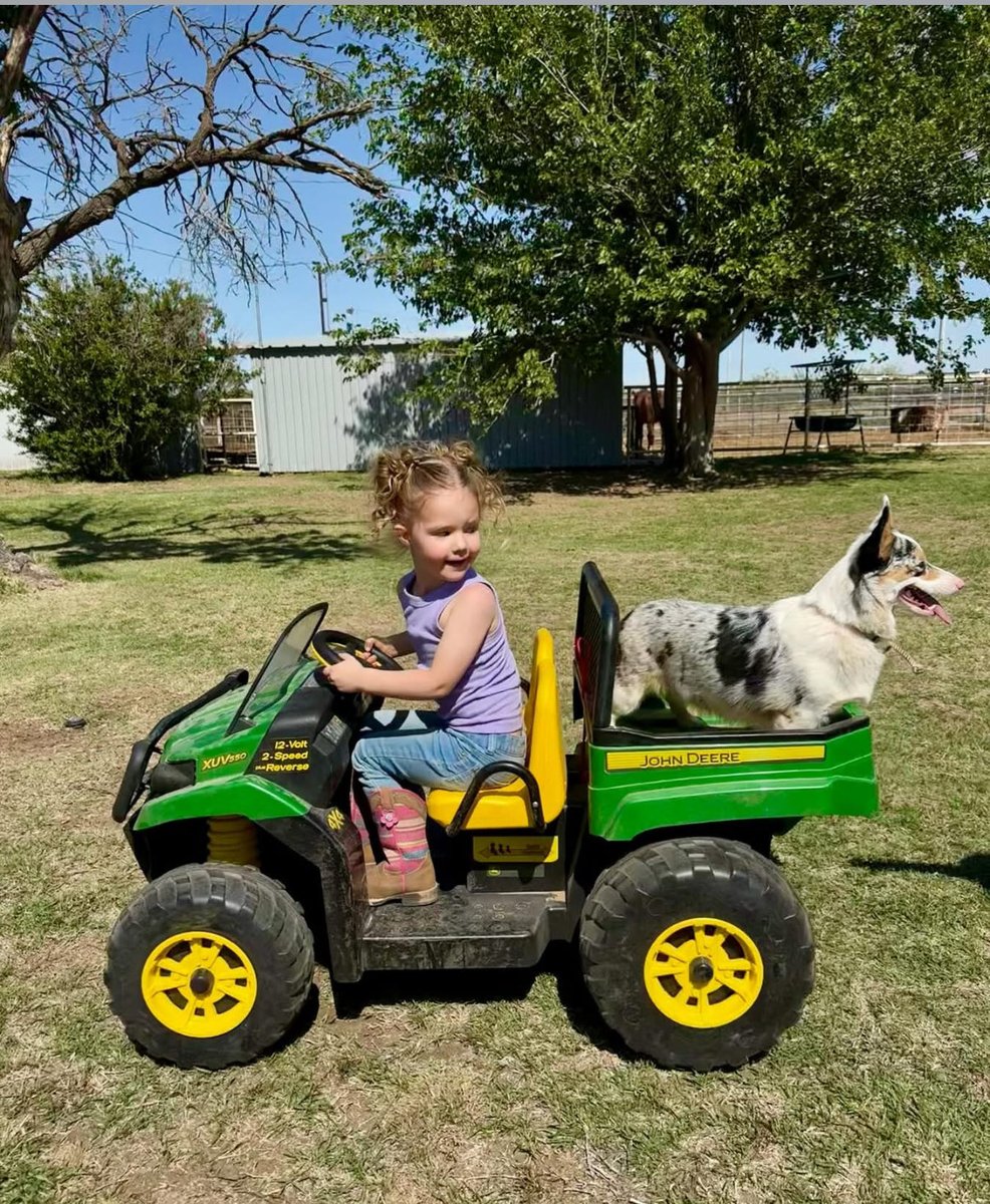 Chief Bridgforth tweet media