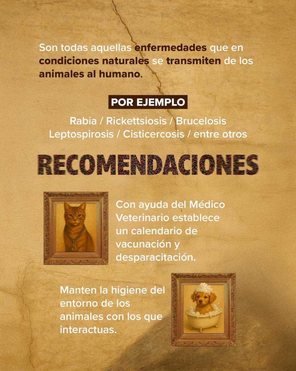 La zoonosis se puede prevenir.
Cuidar a nuestras mascotas es también cuidar nuestra salud.
Mantente informado y sigue las indicaciones de prevención para reducir riesgos.
La protección empieza en casa. 🐾

#CoahuilaPaDelante #APasosDeGigante