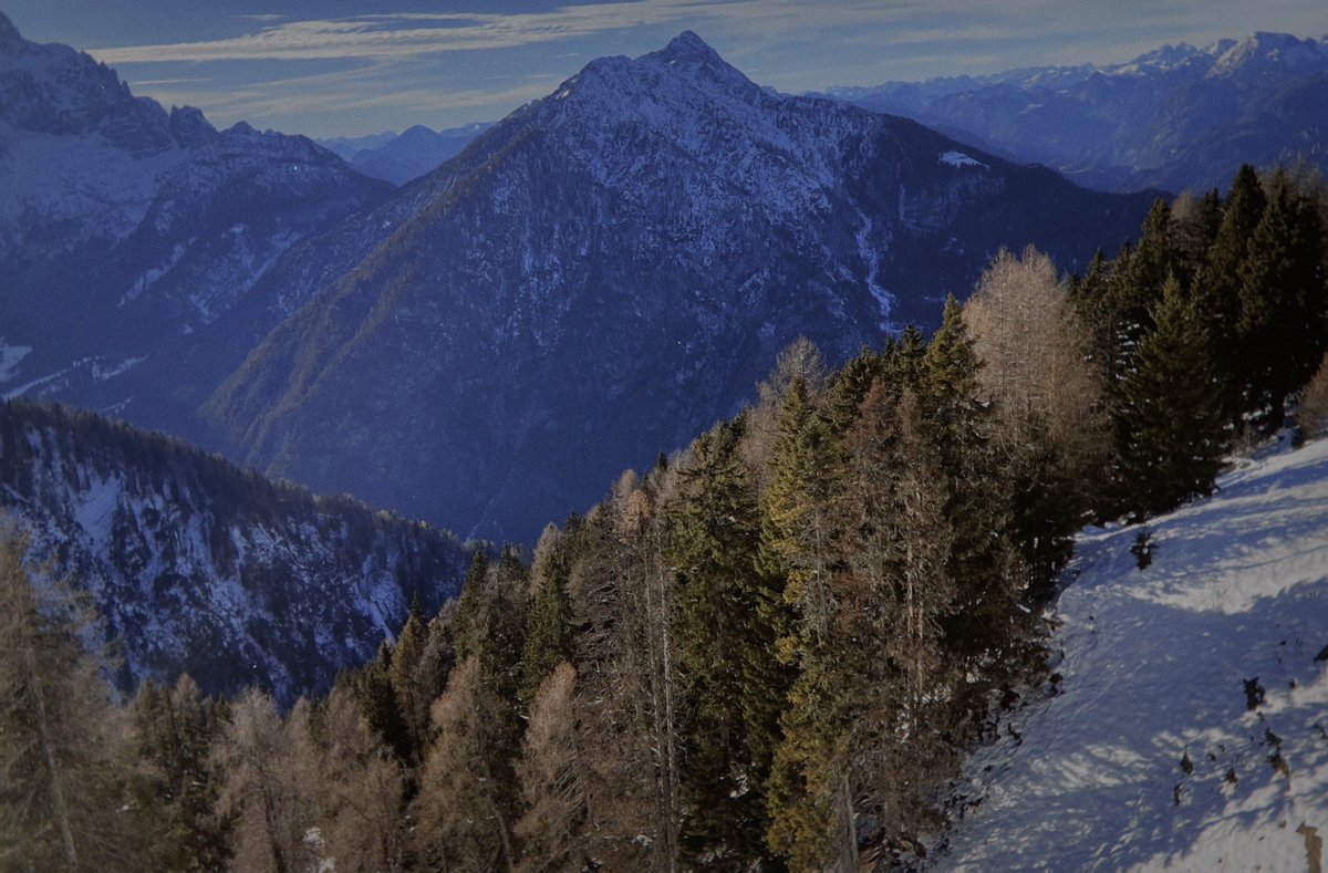 weknowourname's tweet image. …