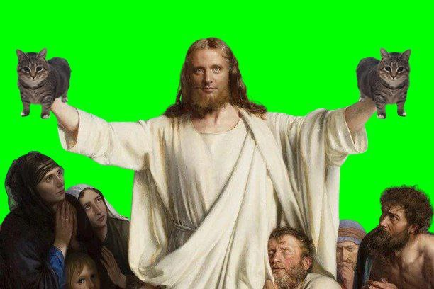 Spinning Cat - fan page tweet media