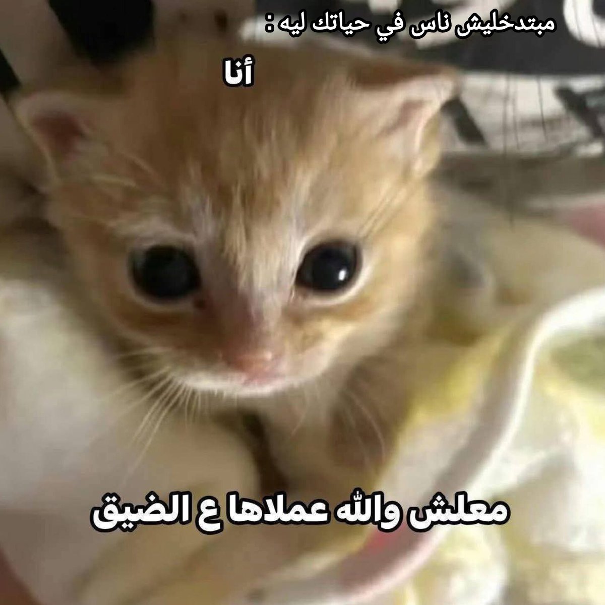 ema (@iemanayman) on Twitter photo 