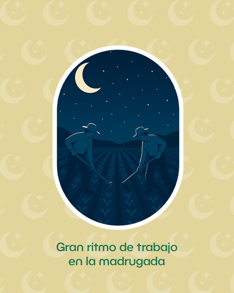 SiembraCo tweet media