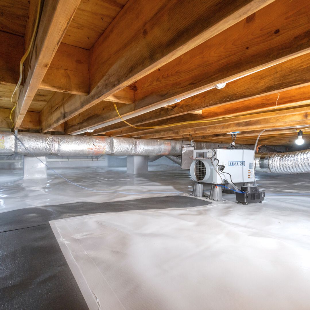 Seaside Crawl Space tweet media