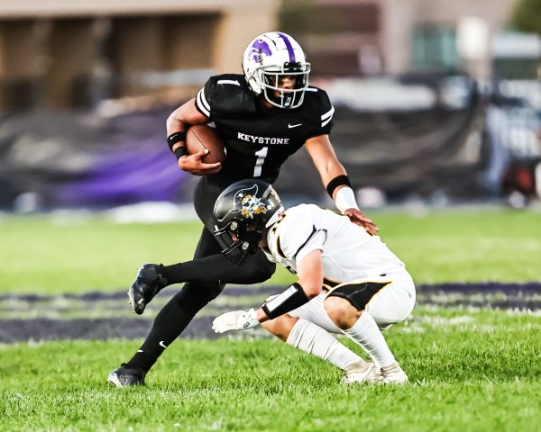 Mark Perez-Krywany tweet media