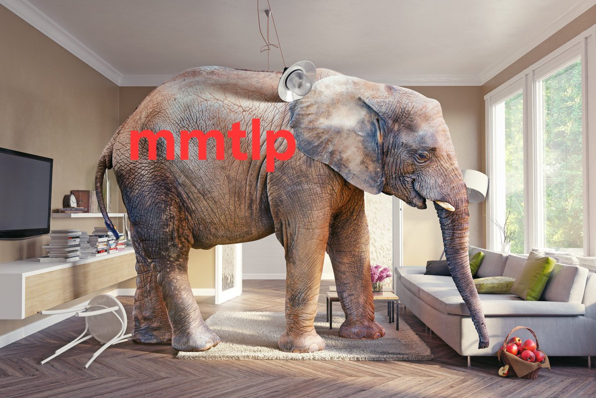 NotAnAdvisor's tweet photo. @SECPaulSAtkins @BlockchainAssn How about addressing the elephant in the room $mmtlp #mmtlp https://t.co/9xdkX0iEju