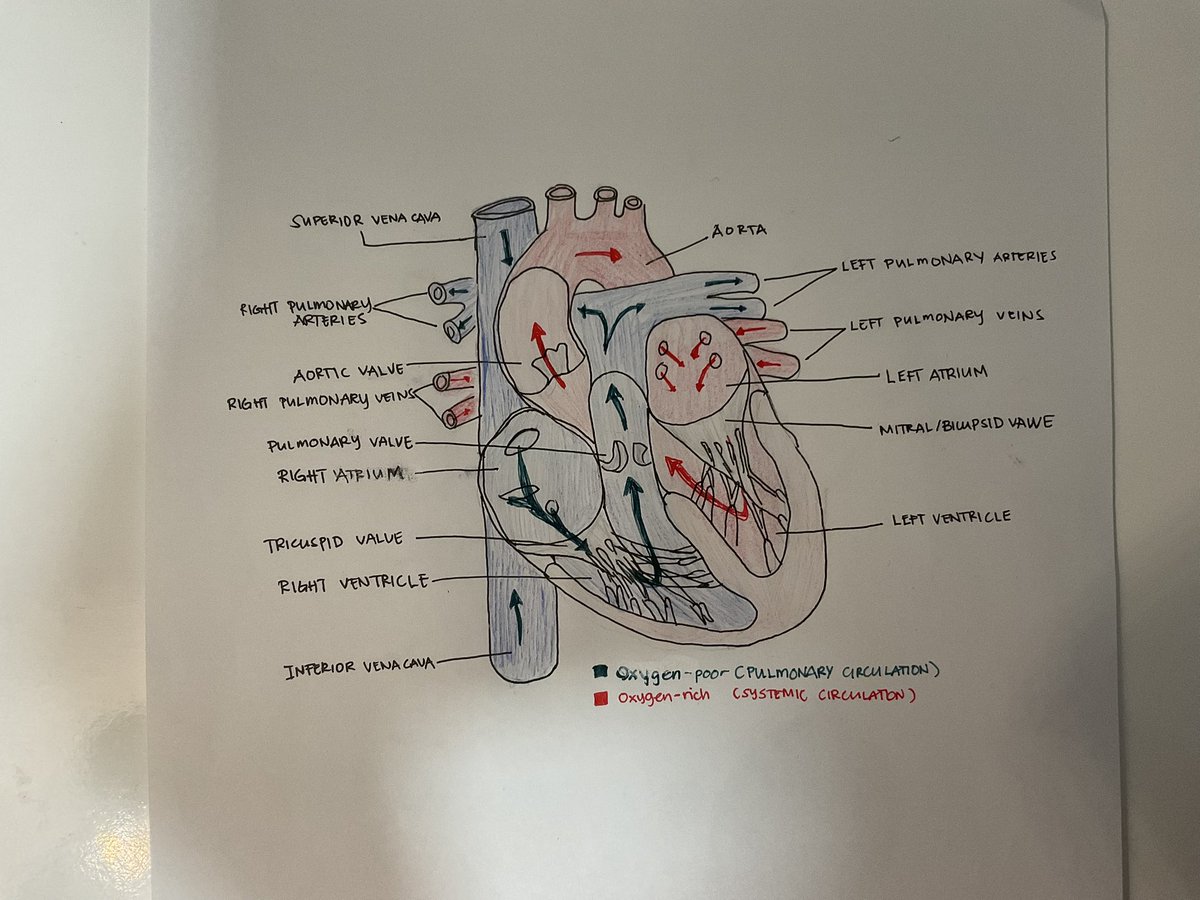 summerisks's tweet image. ahh we’ve met again