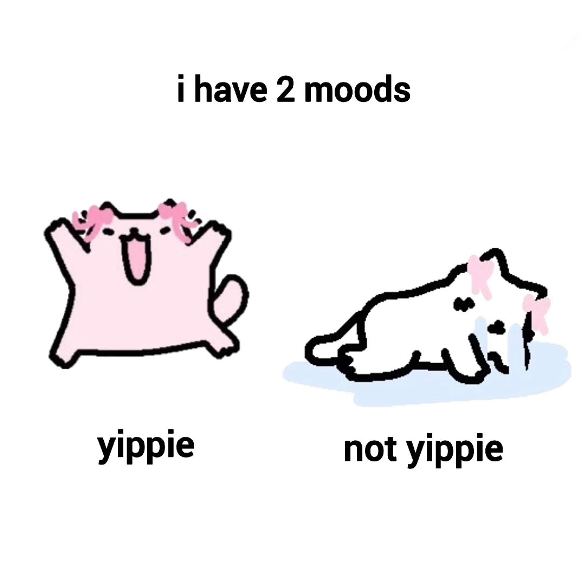 notkelbel's tweet image. 