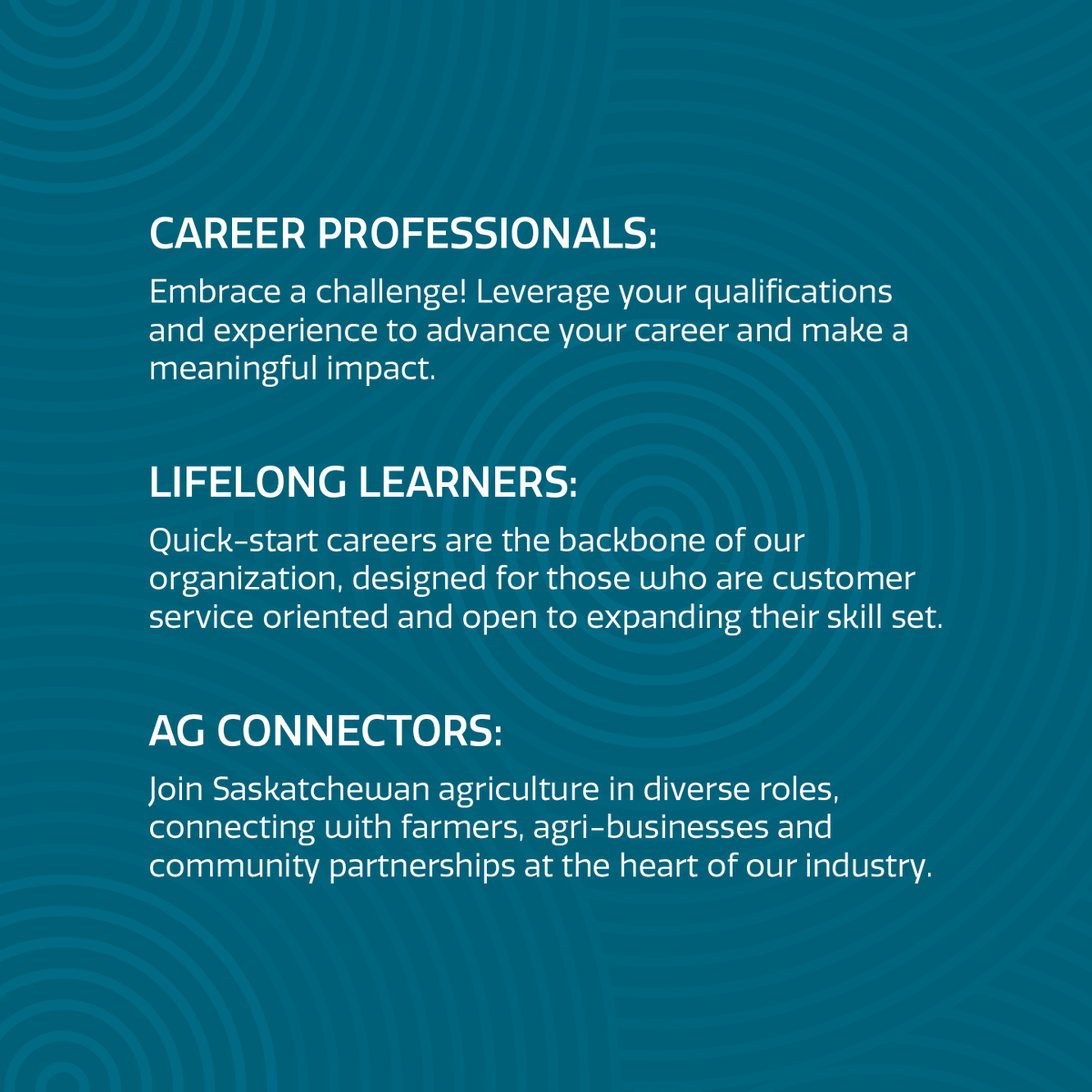 Whatever your passion is, there is a place for you here! 

Whether you are a career professional, a lifelong learner or an ag connector, we have a role for you.

Learn more: scic.ca/careers

#skjobs #hiring #SaskAg #SkTopEmployer