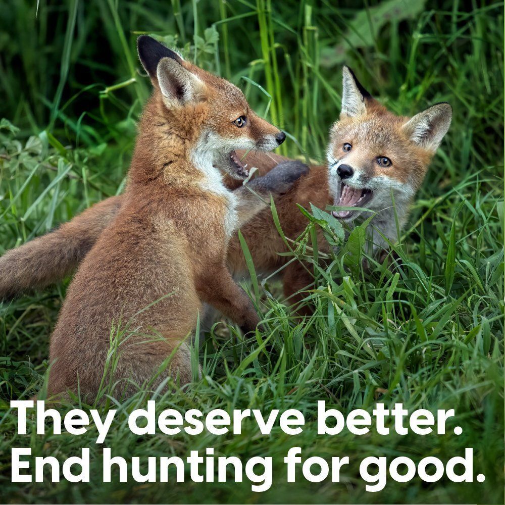 We're not going anywhere until hunting ends for good.