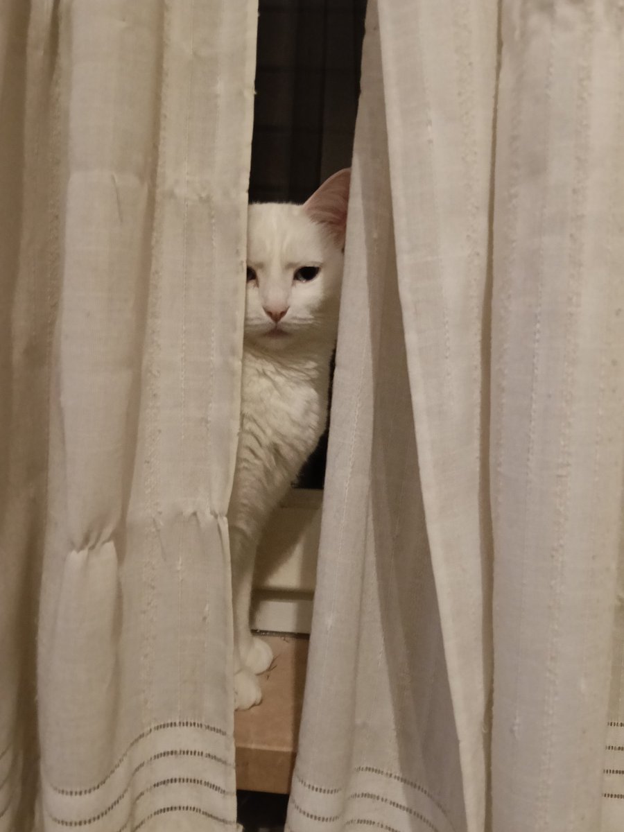 いつも見てるよ…