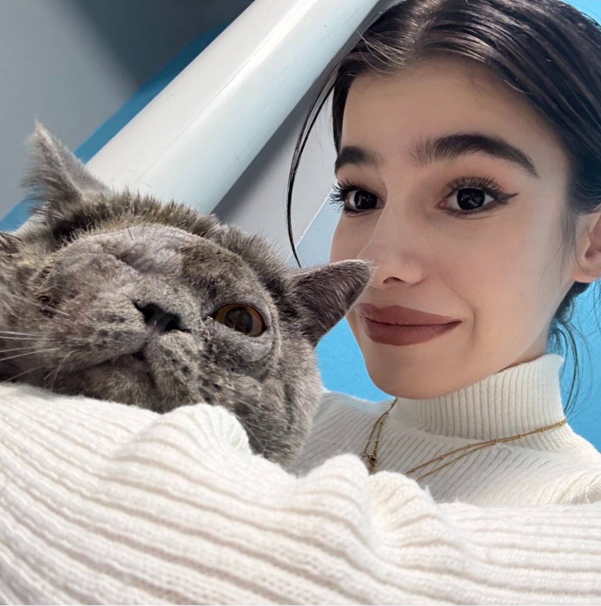 hakliamasude's tweet image. Bu güzel oğlana yuva arıyorum tek gözü maalesef alındı. Erkek 1 yaşında var yok aşırı sosyal ameliyat yüzünden yüzü bu şekilde tüyleri çıkacak 🥹🙏🏻 Konya Ankara İstanbul Eskişehir olur ❤️