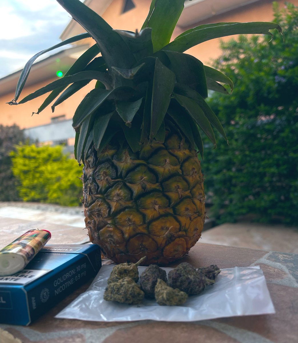 𝙎𝙚𝙡𝙞𝙢 (@realseliim) on Twitter photo 