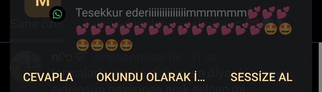 kardeşim saçma sapan beaulis asla kullanmadığım ruju geçen sene ona verdiğimi unutup benden tekrar istedi benim olsun mu diye olsun dedim mutluluğa bakın