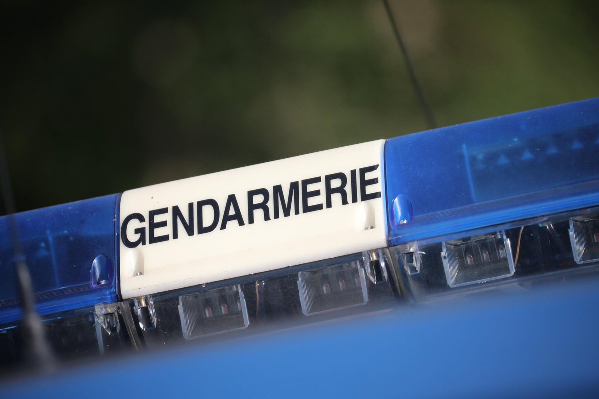 Un violeur en série dans l’Hérault ? Le paysagiste passe aux aveux et reconnaît 22 victimes, dont des mineures
➡️ l.leparisien.fr/WZ7q