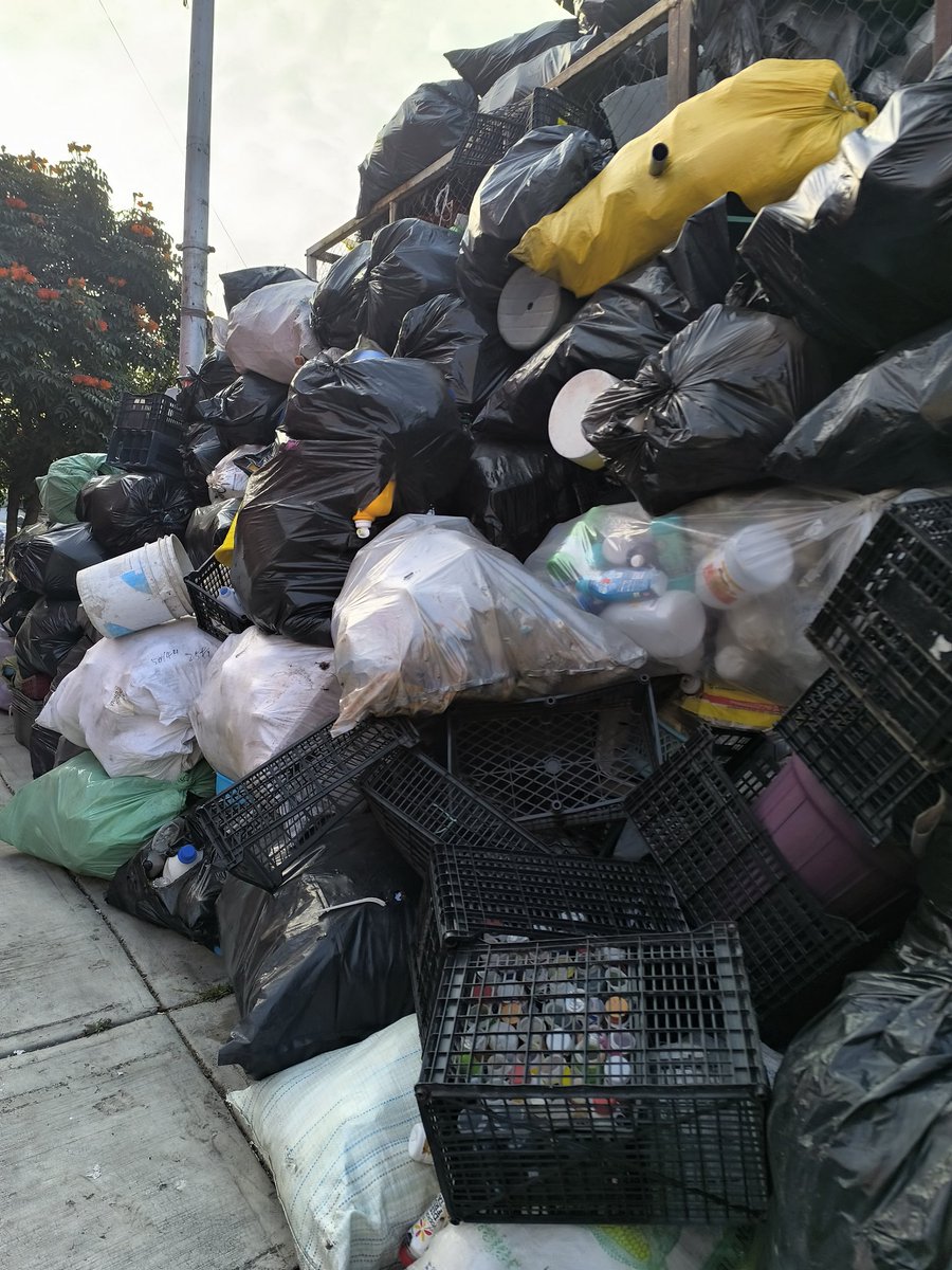 Vigilar_CDMX's tweet photo. Atención @inveacdmx ,  @AlcCuauhtemocMx  @locatel_mx
Cc  @SEDEMA_CDMX @AlessandraRdlv @LeonorOtegui
CONTINÚAN las montañas de basura de local en José T Cuellar 298 y en calles Cristóbal Díaz y Topacio, Col. Paulino Navarro. Ya hay antecedentes de clausura de este mismo local. https://t.co/r0Zq3F9Cqz