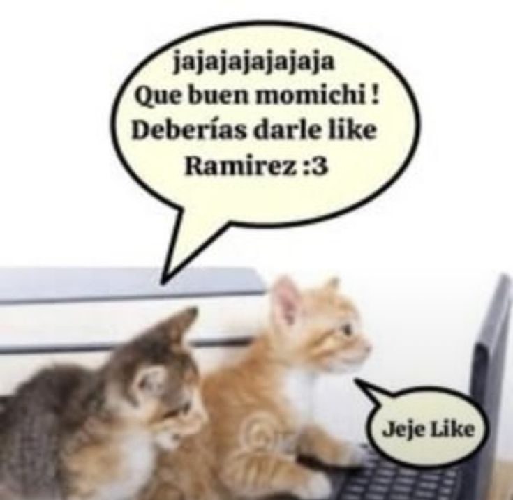 Quantom_monkey's tweet photo. @Blazzz27 Q momaso :v https://t.co/fuqM1SWO7R