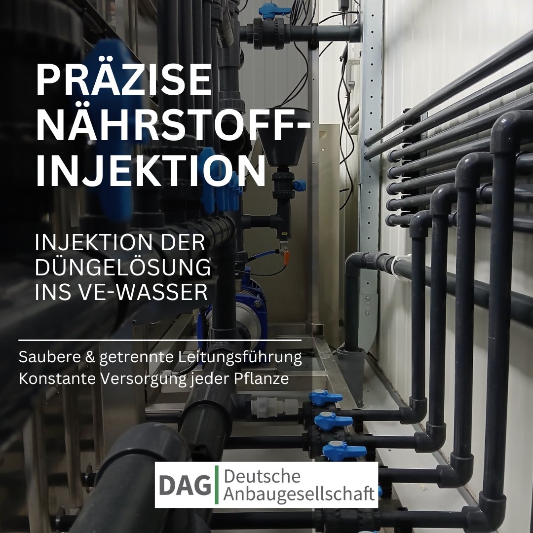 DAG_DECT's tweet photo. Hinter den Kulissen unserer Nährstoffversorgung: Auf der Rückseite der Technik wird die Düngerlösung präzise in die VE-Wasserleitung injiziert. Die zentrale blaue Dosierpumpe gewährleistet den gleichmäßigen und zuverlässigen Volumenstrom zu allen Pflanzen. Der schwarze Trichter dient als Einlass für Tageszusätze.

Durch dieses geschlossene System mit klarer Leitungsführung entsteht ein vollautomatisierter Kreislauf. Das garantiert eine konstante, präzise und wiederholbare Nährstoffzufuhr.

Die unsichtbare Technik, auf die es ankommt.