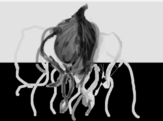 williamdin75418's tweet photo. @TapeDoodles https://t.co/O1F5CFDaIR