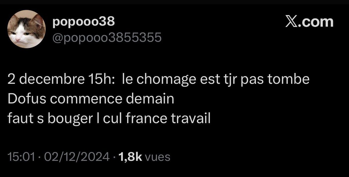 Alexis Drake tweet media