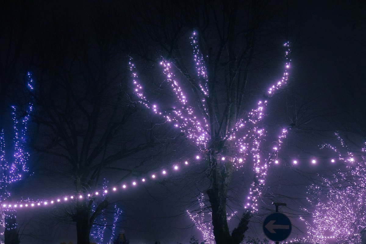 emilybakerphoto's tweet image. Every hour seemed to last eternally