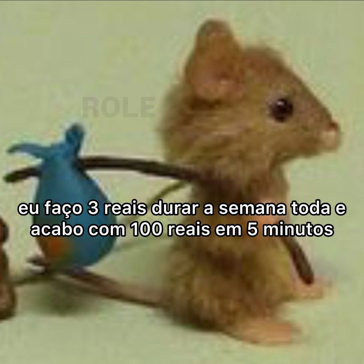 Rolê Aleatório (@rolealeatorio) on Twitter photo 