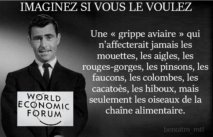 Benoit Martin tweet media