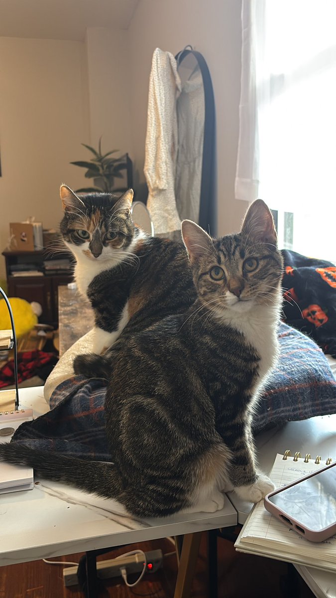 they are doing much better and even played a little yesterday 🥰