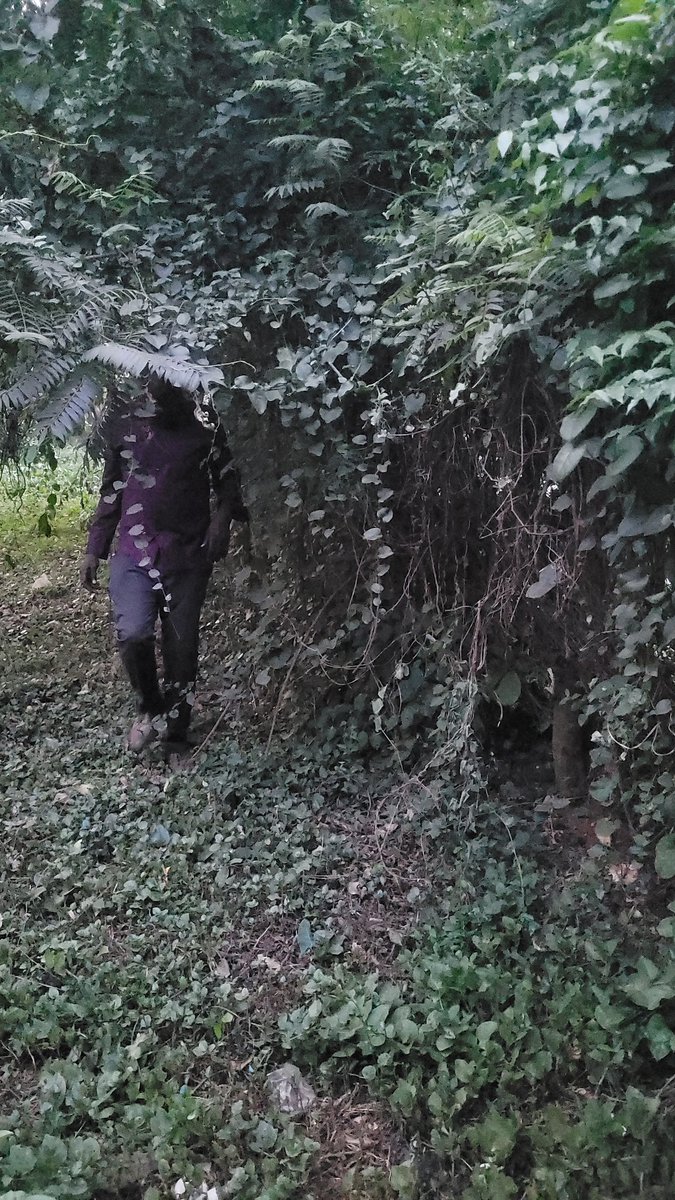 MaleMabiriziHKK's tweet image. WALUKAGGA, education is a PROCESS, complete your DEGREE then no one will disturb U. Don't be confused by RUBONGOYAs of this town...