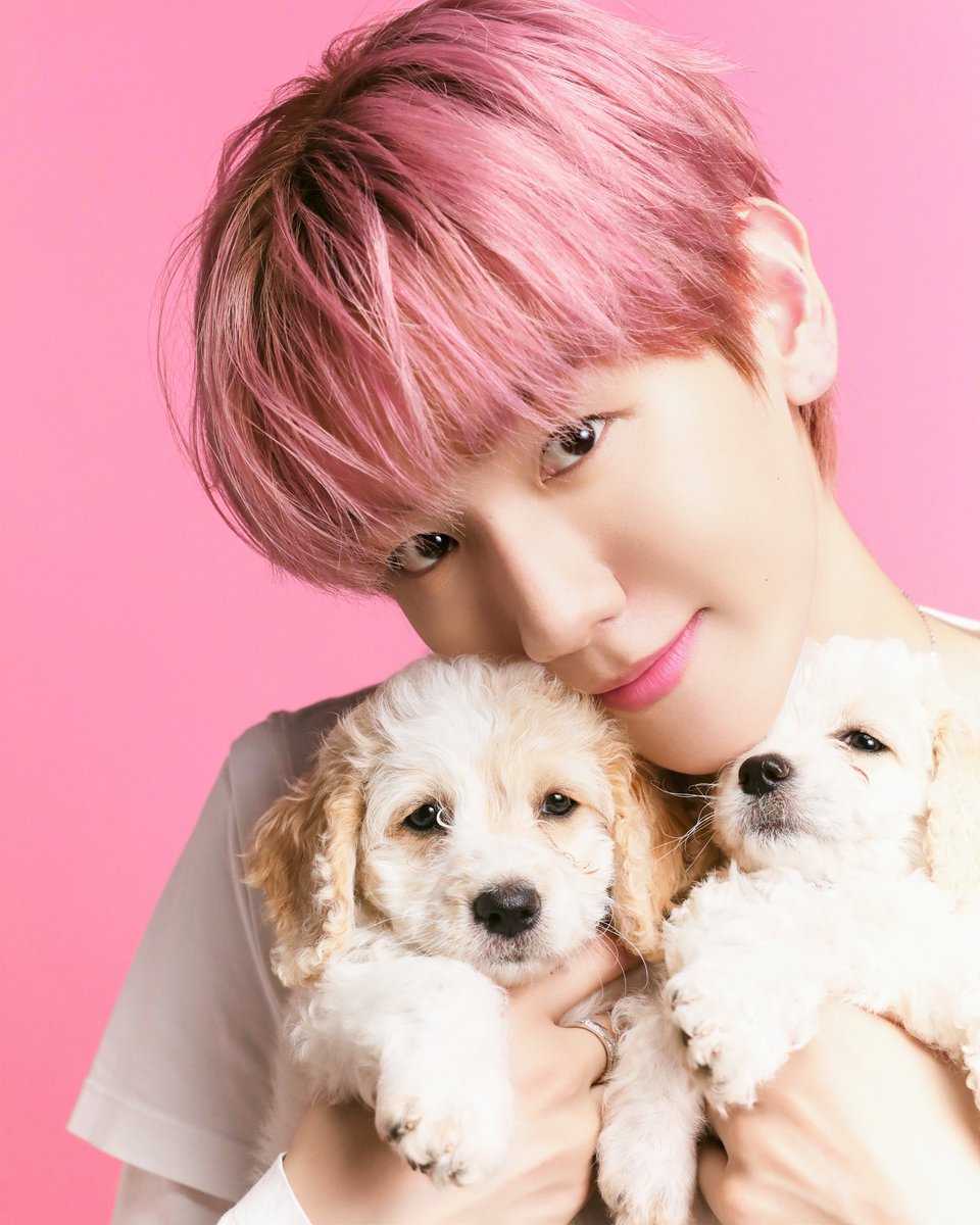 mongtwink's tweet photo. harsh words should never find you 😣 https://t.co/CWuXOxJvDK