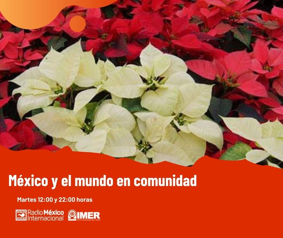 Es martes de #MéxicoyelMundoEnComunidad🌎 con Valtier Mejía🎙. Hoy nos compartirá música y nos hablará del Día Nacional de la Nochebuena🌸, Día Internacional de los Derechos Humanosy el Día Nacional del Caballo🐴 ¡Los esperamos! 12 h por imer.mx/rmi/ 📻